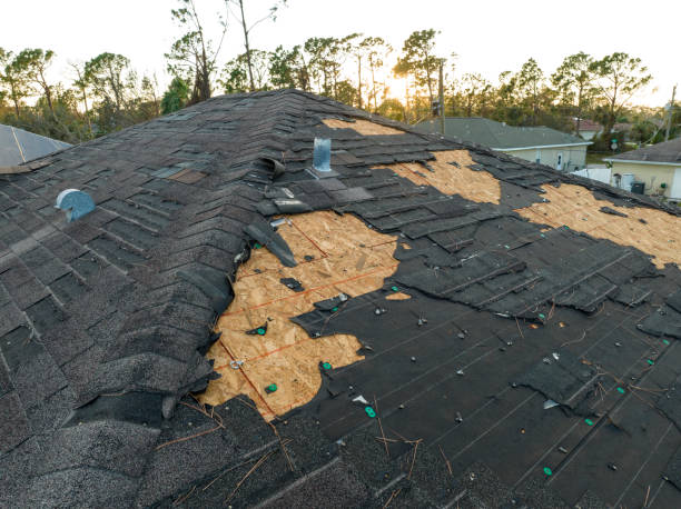 Best Steel Roofing  in Parkersburg, WV