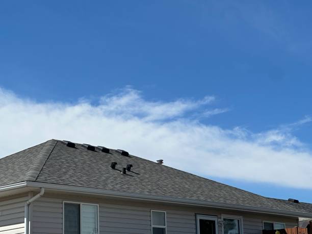 Best Roof Maintenance and Cleaning  in Parkersburg, WV