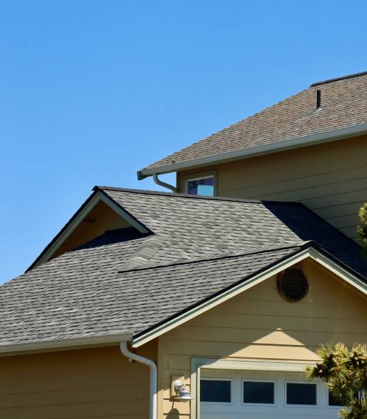 Best Roof Moss and Algae Removal  in Parkersburg, WV